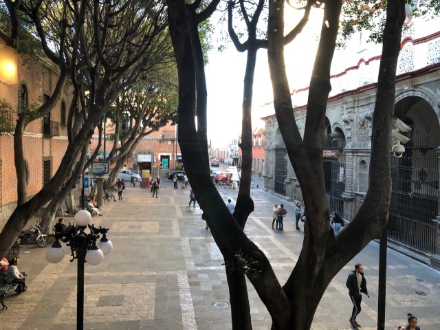 View from Our Window