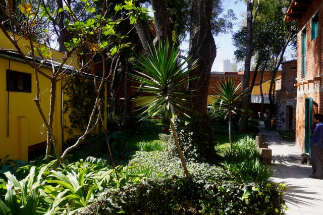 View from the House To the Garden and Cafe