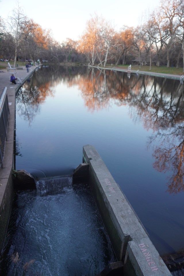 Fish Ladder at the Pool