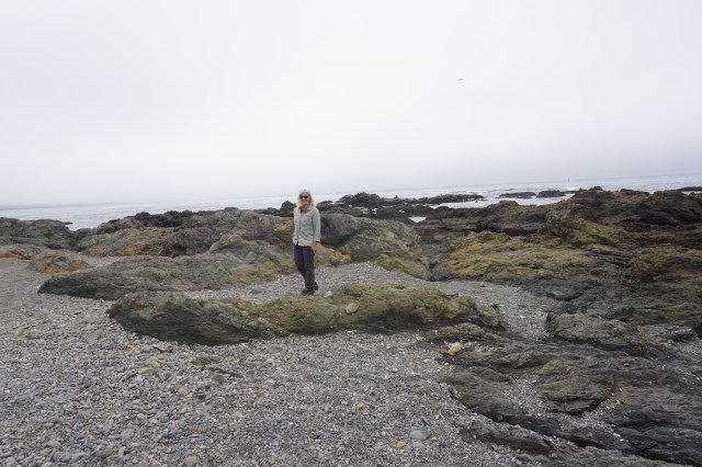 A Mermaid Comes Ashore