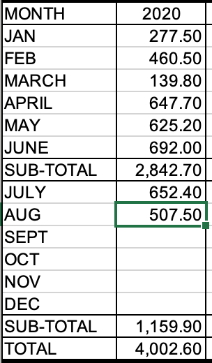 Bike Miles YTD