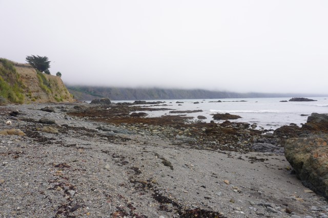 Shoreline with Fog Cover