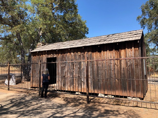 Pretty Girl at the Cabin