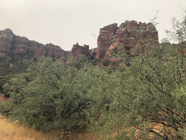 Stopped at the Summit of the Last Climb