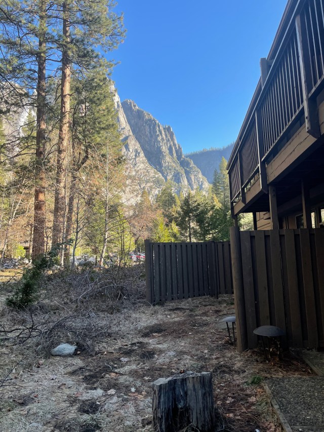 View from the Patio at Our Room