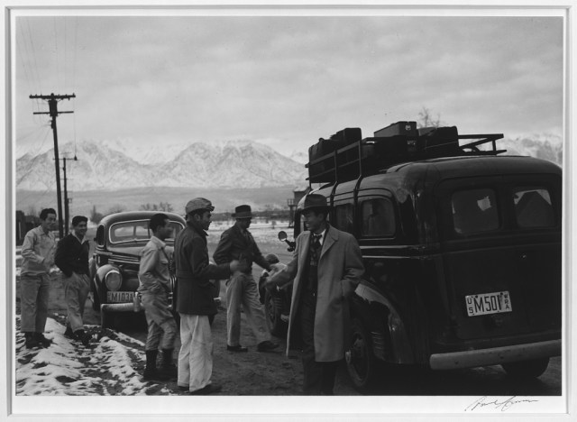 Ansel - Relocation Leaving