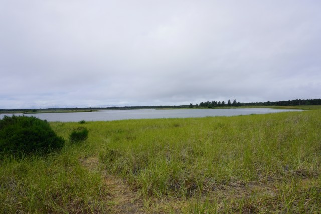 Mouth of the Columbia